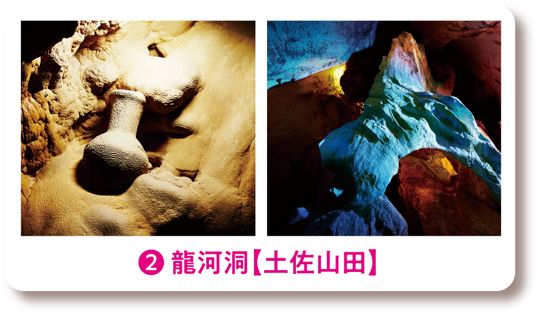 ❷ 龍河洞【土佐山田】