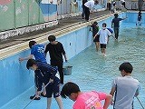プール②