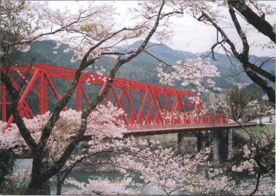 奥物部湖の桜