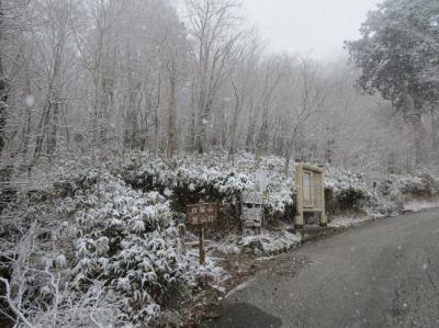 雪に覆われた白髪山登山道