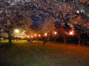 鏡野公園桜まつり