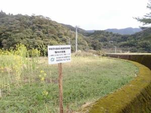 植樹・平山地区