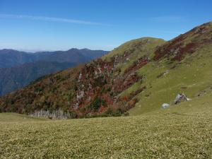 西熊山に至る尾根伝い(徳島県三好市側)