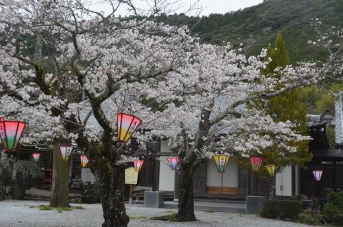 高照寺01