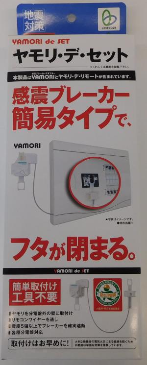 ヤモリデセット