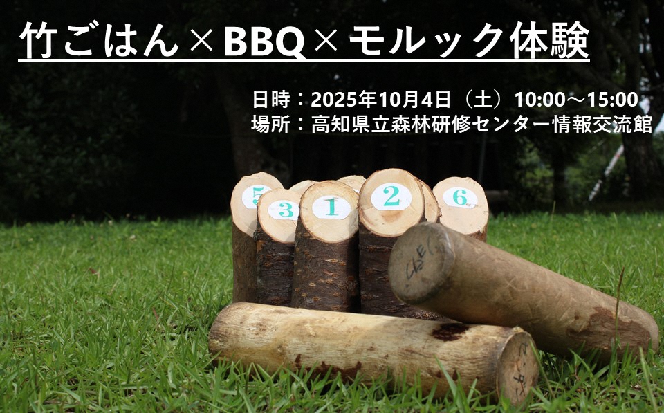 紹介写真