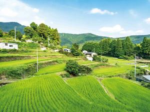 東川